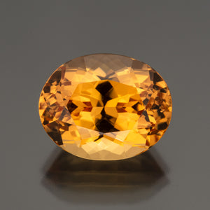 Topaz #20223 13.55 ctw