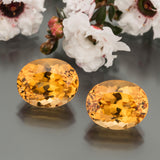 Topaz #20223 27.09 ctw(2)