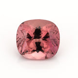 Tourmaline #25023 5.59 cts