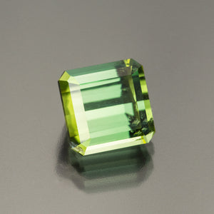 Tourmaline #26363 3.10 ctw