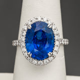 Sapphire #26746 10.10 cts