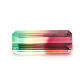 Tourmaline #26927 14.50 cts
