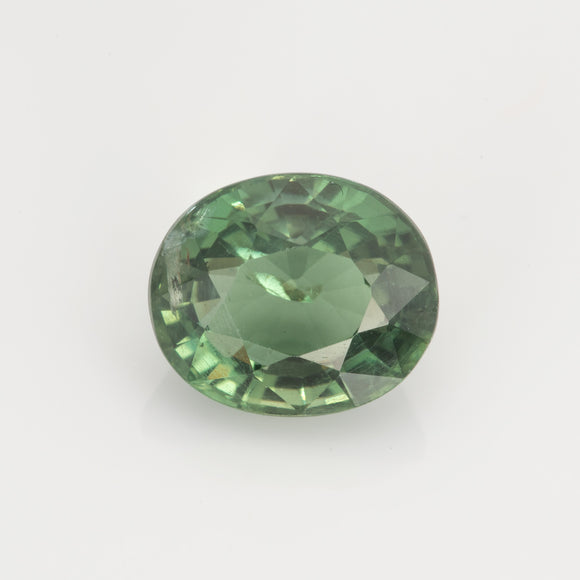Apatite #27051 2.73 cts