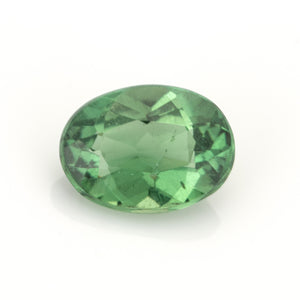 Apatite #27054 0.73 cts