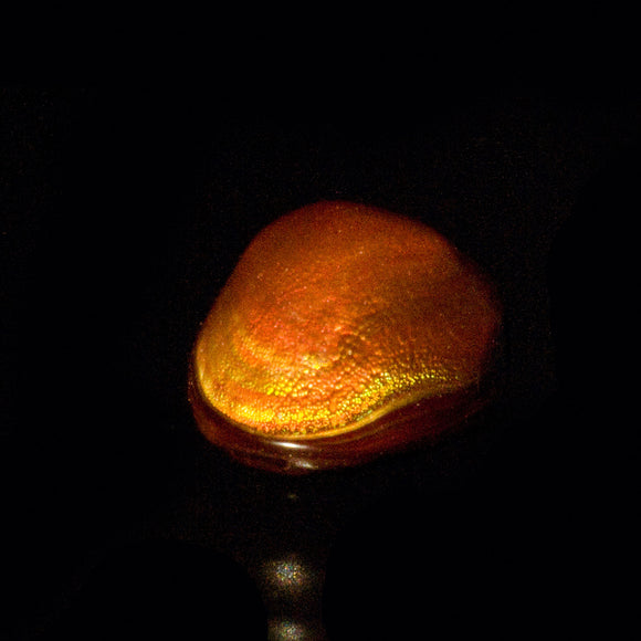 Fire Agate #14483 3.02 cts