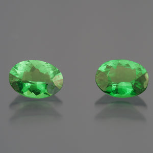 Garnet-Tsavorite #16885 0.88 ctw (2)