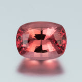 Tourmaline #18762 3.07 cts