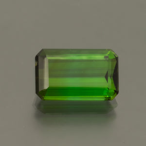 Tourmaline #2012 3.94 cts