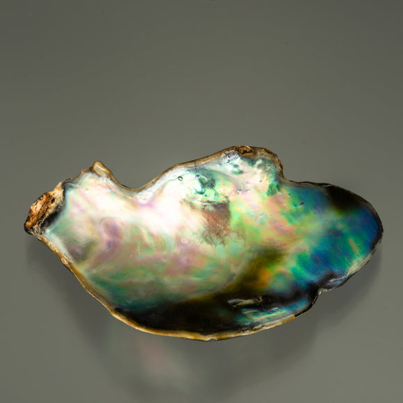 Pearl-Abalone #20891 27.62 cts