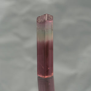 Bi-Color Uncut / Rough Tourmaline