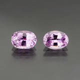 Pink Oval Sapphire