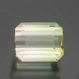 Bi-Color Emerald Tourmaline