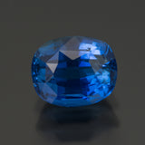Blue Cushion Sapphire