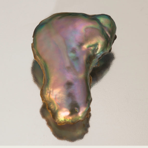 Pearl-Abalone #23867 7.44 cts