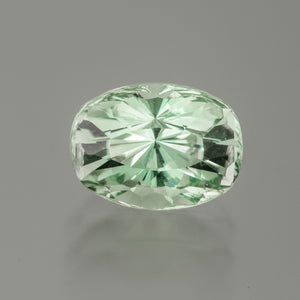 Kornerupine #25514 2.18 cts