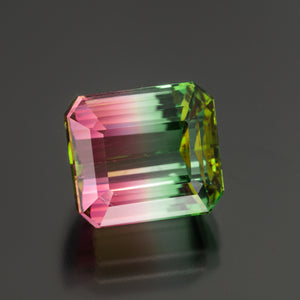 Tourmaline #25719 9.49 cts