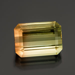 Tourmaline #25745 15.31 cts